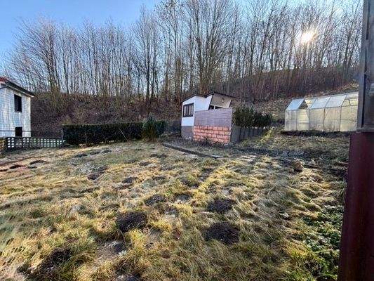 Garten Blick vom Zugang