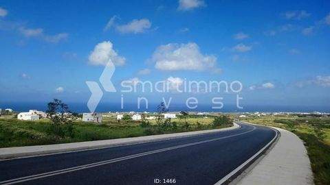 Fira, Santorini - Thira Bauernhöfe, Landwirtschaft, Fira, Santorini - Thira Forstwirtschaft