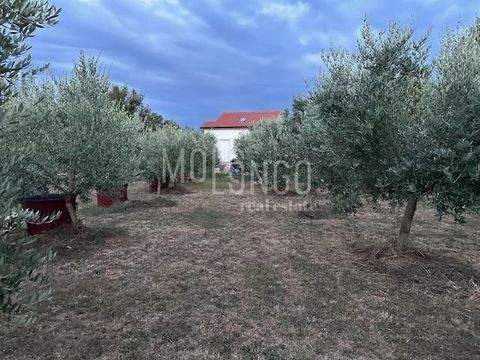 Malinska-Dubasnica Häuser, Malinska-Dubasnica Haus kaufen