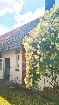 2 separate Eingänge.jpg