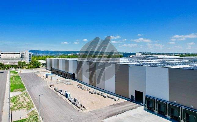 INFOS UNTER: 06171-586000