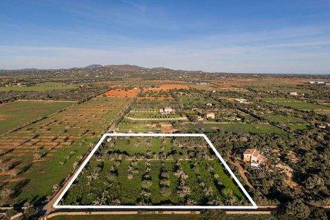 Santanyi Grundstücke, Santanyi Grundstück kaufen