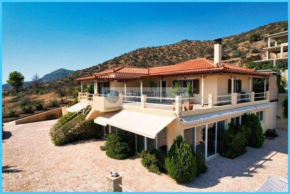 995e7d24368b4f269d482d3bf9216fdb-original