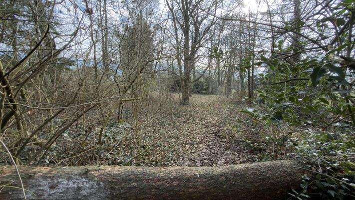 hinterer Gartenbereich