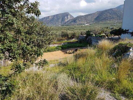 Kreta, Sisi: Baugrundstück etwas außerhalb des Dorfes zu verkaufen
