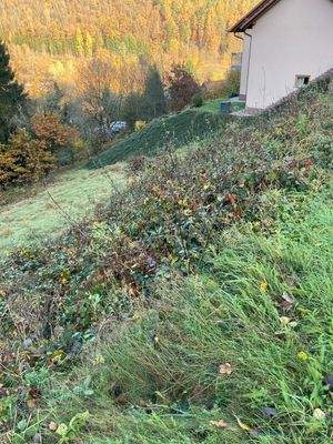 7166db6a-29b1-4838-a370-95713b4b2045