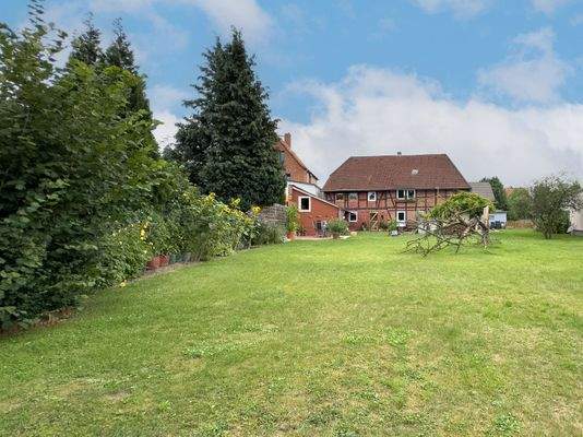 Garten hinter dem Haus