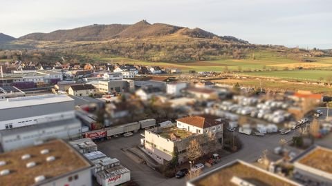 Bissingen an der Teck Halle, Bissingen an der Teck Hallenfläche