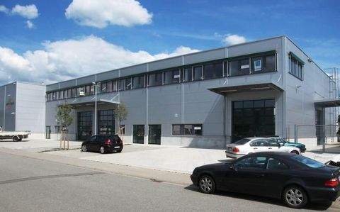 Hirschberg an der Bergstraße Halle, Hirschberg an der Bergstraße Hallenfläche