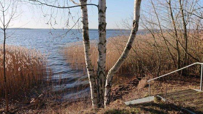 am Senftenberger See