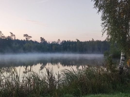 Kammerweiher (1)