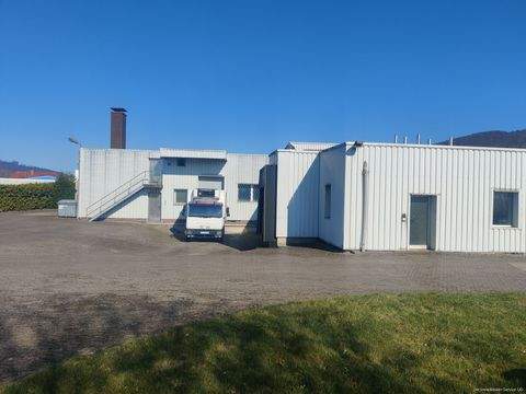 Lügde Halle, Lügde Hallenfläche