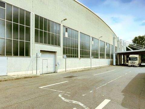 Dresden Halle, Dresden Hallenfläche