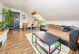 Lichterfüllter Lebensraum