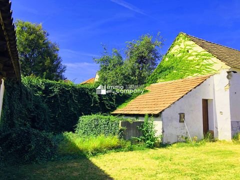 Breitenbrunn am Neusiedler See Häuser, Breitenbrunn am Neusiedler See Haus kaufen