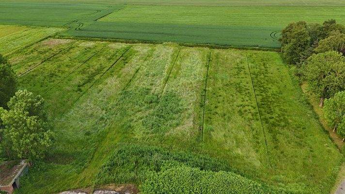 Grüne Wiese hinter dem Objekt