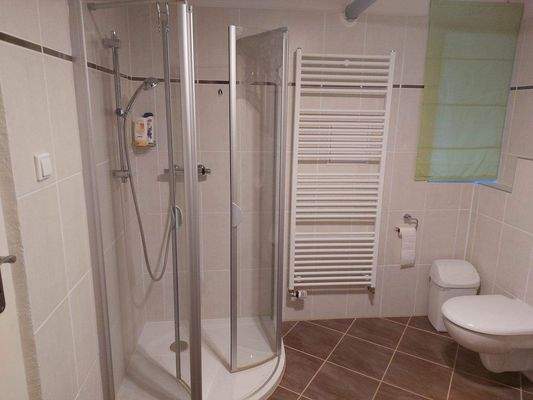 Duschbad mit Toilette im Keller.jpg