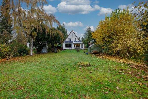 Blick auf Altbestand