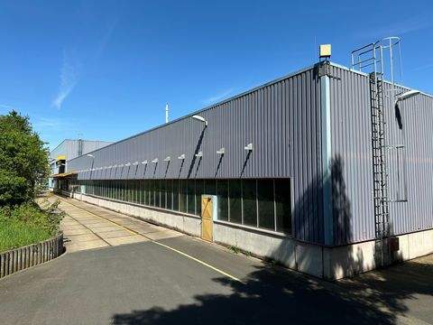 Düren Halle, Düren Hallenfläche