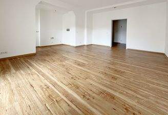 Wohn- und Essbereich mit Küche