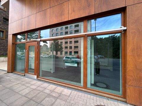 Hannover Ladenlokale, Ladenflächen 