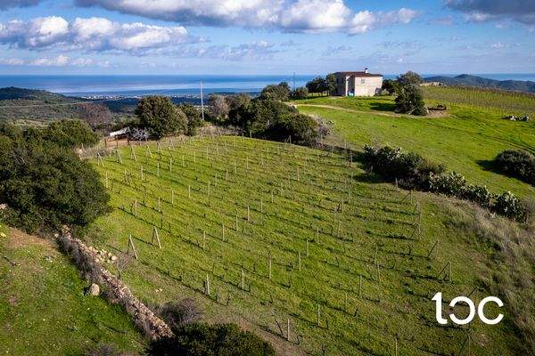 TERR. AGRICOLO-14.jpg