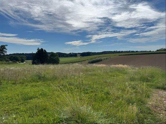 Blick in Richtung Süd-Ost