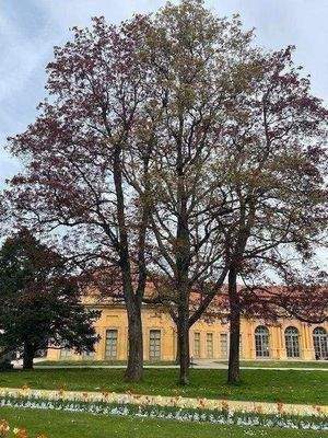 Nahe Umgebung_Schlossgarten