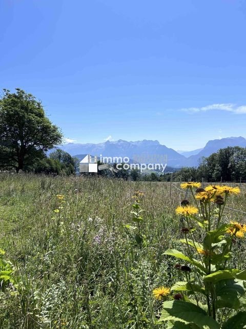 Salzburg Bauernhöfe, Landwirtschaft, Salzburg Forstwirtschaft