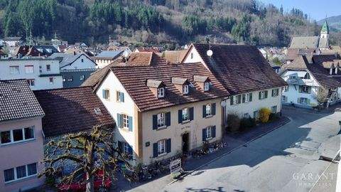 Hausen im Wiesental Häuser, Hausen im Wiesental Haus kaufen