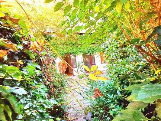 01 Atrium Terrasse 3