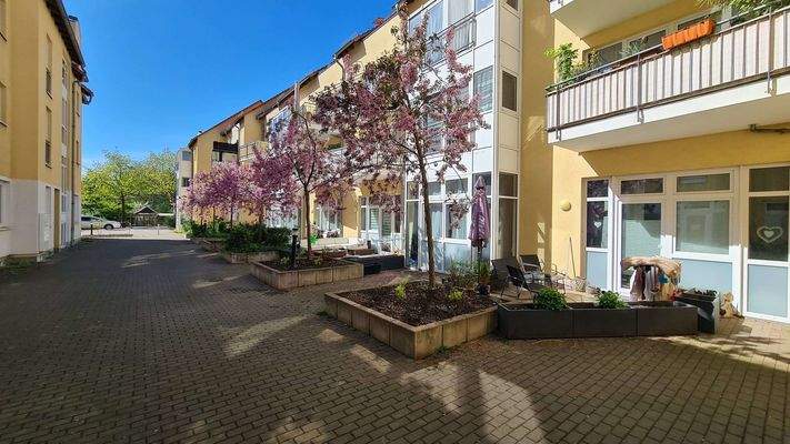 20240411_145902_copy_4032x2268