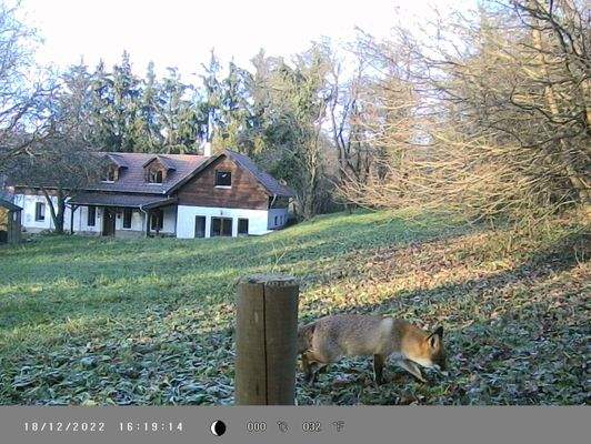 341332757_132462773041161_8484065003770546312_n.jp