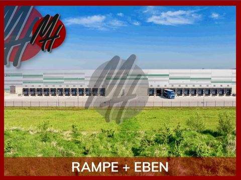 Mönsheim Halle, Mönsheim Hallenfläche