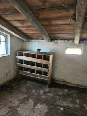 Im Hühnerstall.jpg