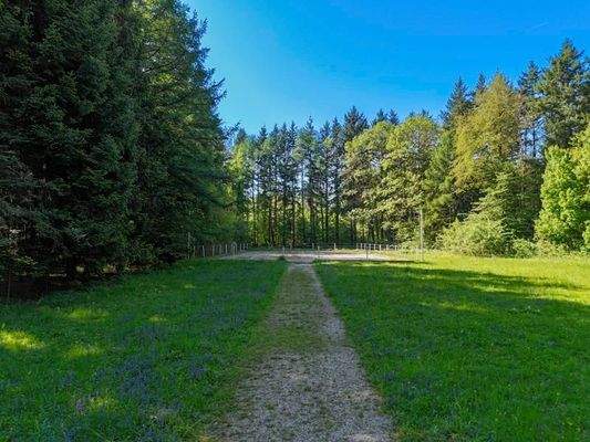 54_DJI_20250502095454_0318_D-Bearbeitet