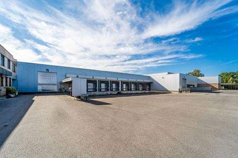 Warendorf Halle, Warendorf Hallenfläche