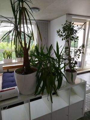 Schlafzimmer_Ansicht_2