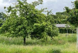 Heute noch Garten, morgen kann neues Leben mit BIEN ZENKER einziehen