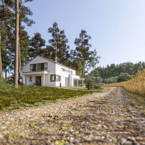 Sankt Georgen im Schwarzwald Häuser, Sankt Georgen im Schwarzwald Haus kaufen