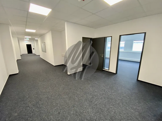 INFOS UNTER: 06171-586000