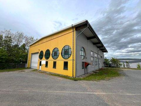 Porta Westfalica Halle, Porta Westfalica Hallenfläche