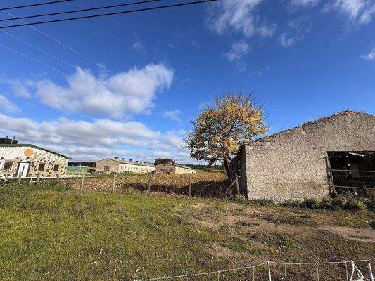 Blick auf das Grundstück mit den Hallen u. dem EFH