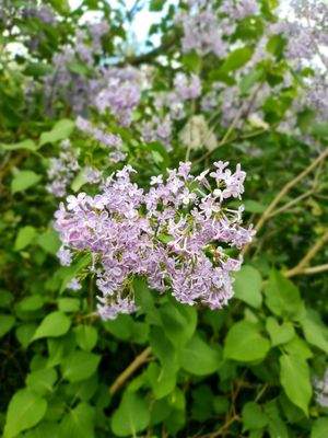 Der Frühling kann kommen!