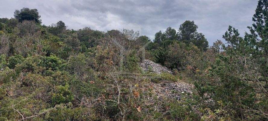 Bewirtschaften Sie das Land nach Ihren Wünschen