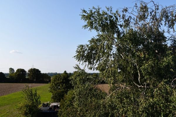 Blick von der Terrasse.JPG