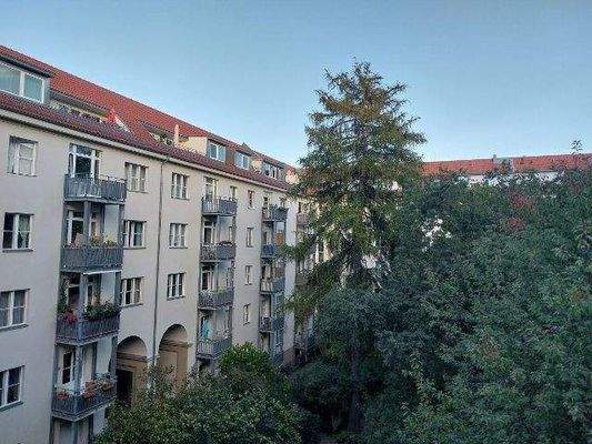 Blick in den großen grünen Wohnhof