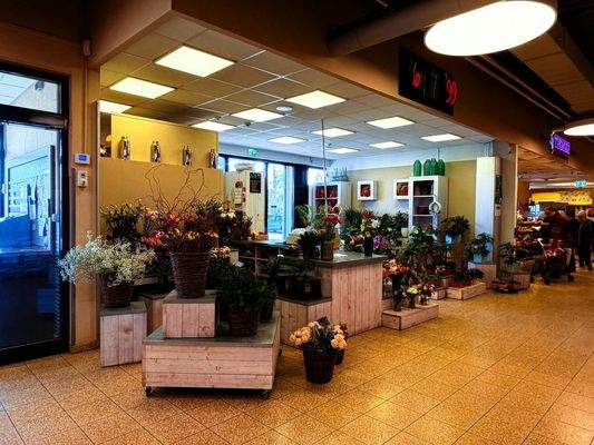 Mall Gesamt seitlich.jpeg