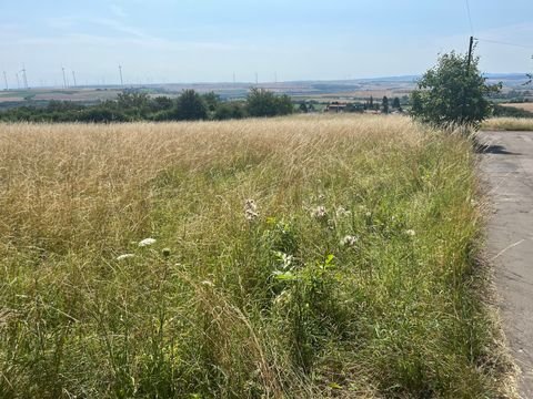 Kirchheimbolanden Grundstücke, Kirchheimbolanden Grundstück kaufen