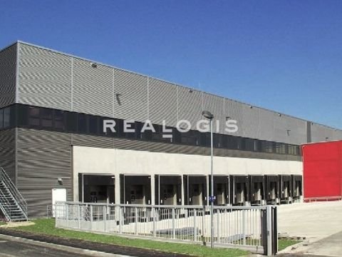 Sembach Halle, Sembach Hallenfläche